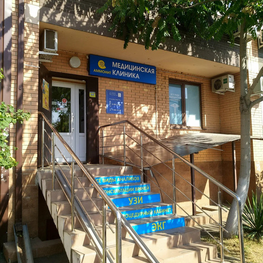 Клиника Аммонит