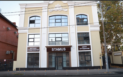 Стамус на Гимназической